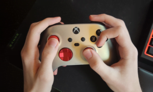 Standard Claw grip on controller
