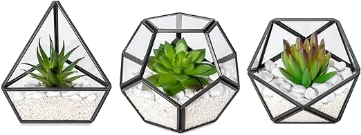 Faux Succulents