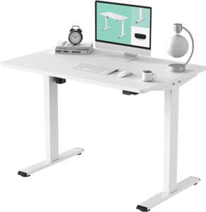 FLEXISPOT Electric Standing Desk Whole Piece 48 x 30 Inch Desktop Adjustable Height Desk