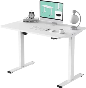 FLEXISPOT Electric Standing Desk Whole Piece 48 x 30 Inch Desktop Adjustable Height Desk