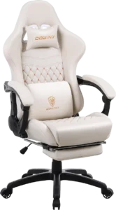 Dowinx Gaming Chair Office Desk Chair